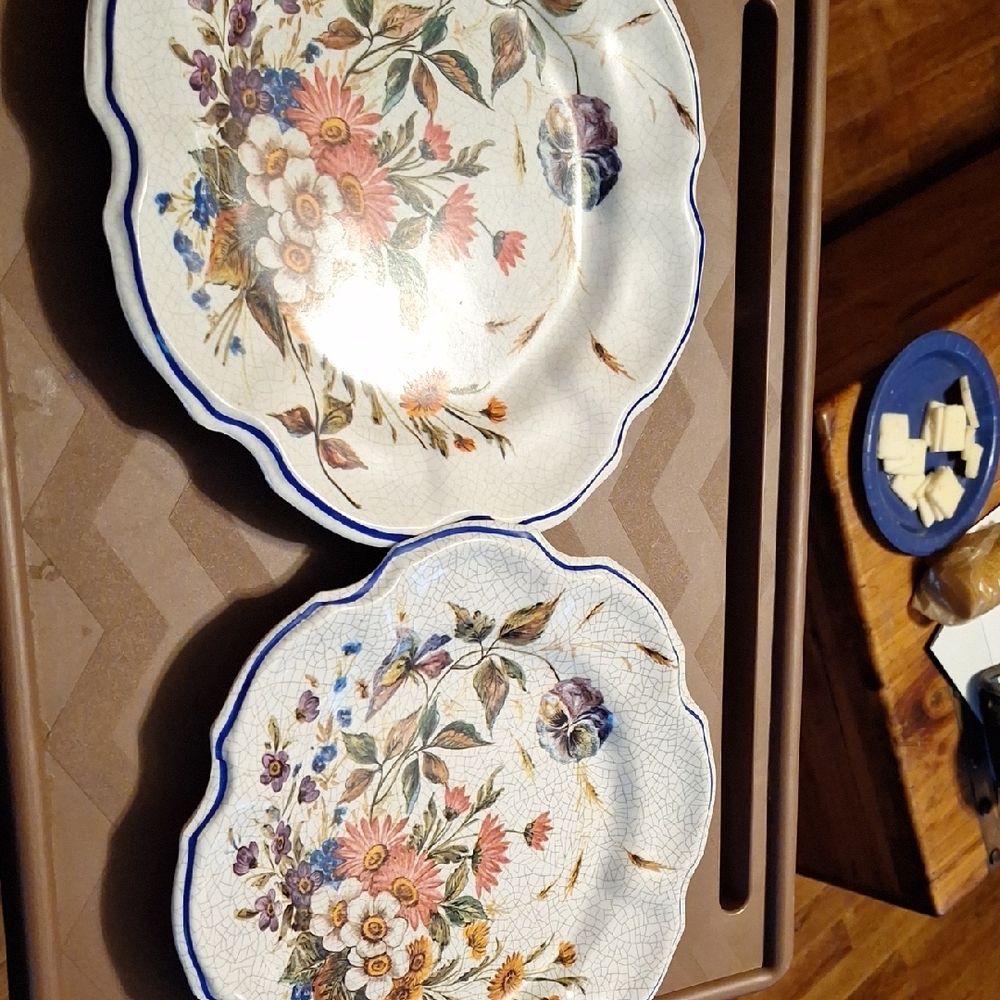 Vtg Lot Of 2 Floral Ceramic Plates Set Made In Italy